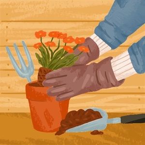 Meet your Posher, Alisa